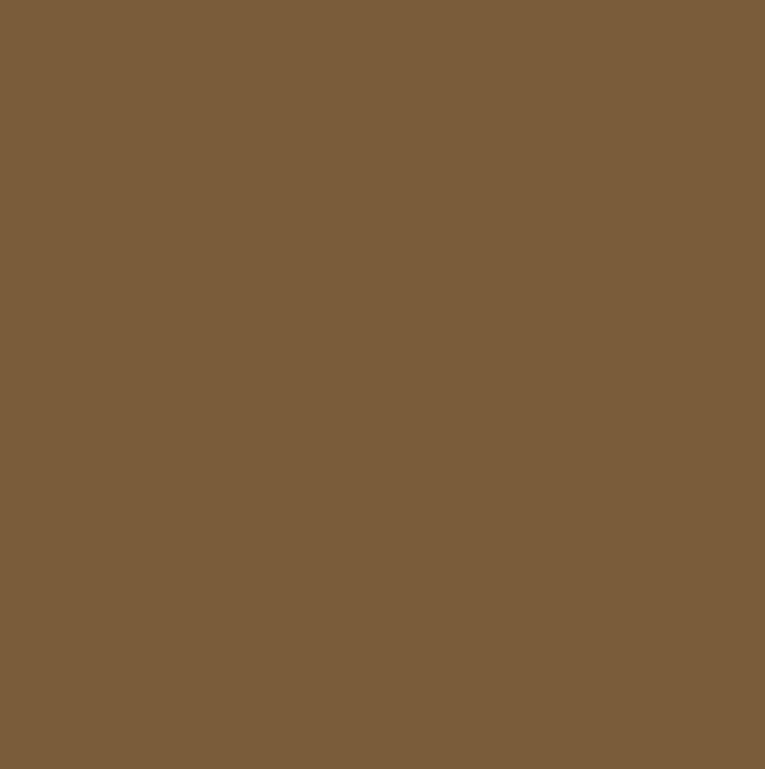 Clinita Mocha Pro – hybride PMU pigment voor powder brows en hairstrokes