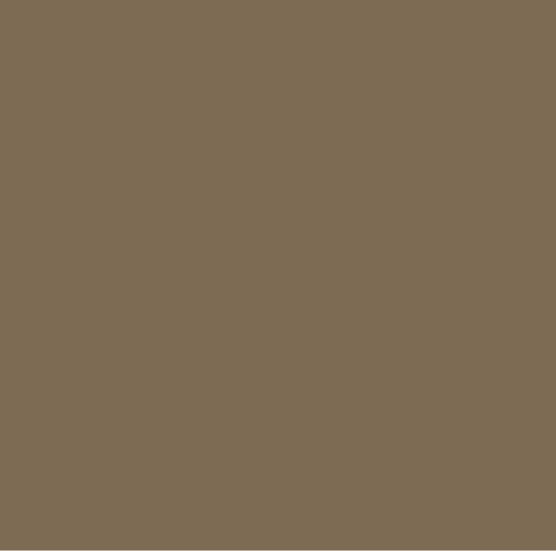 Clinita Truffle Pro – hybride pigment voor eyeliner en brows