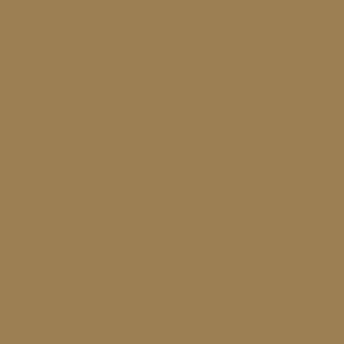 Clinita Macadamia Pro – hybride PMU pigment voor kleurcorrecties en camouflage