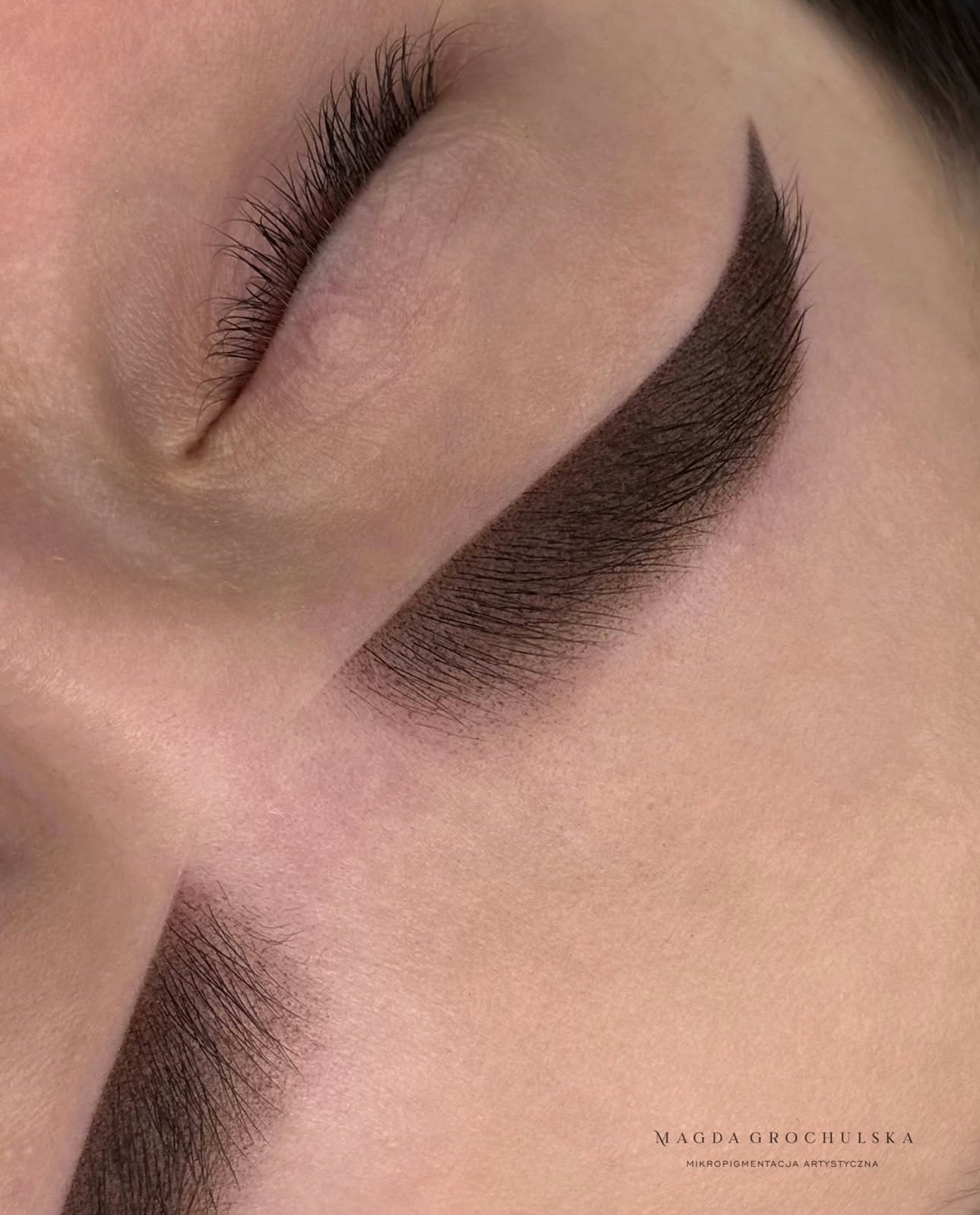 brunette powder brows